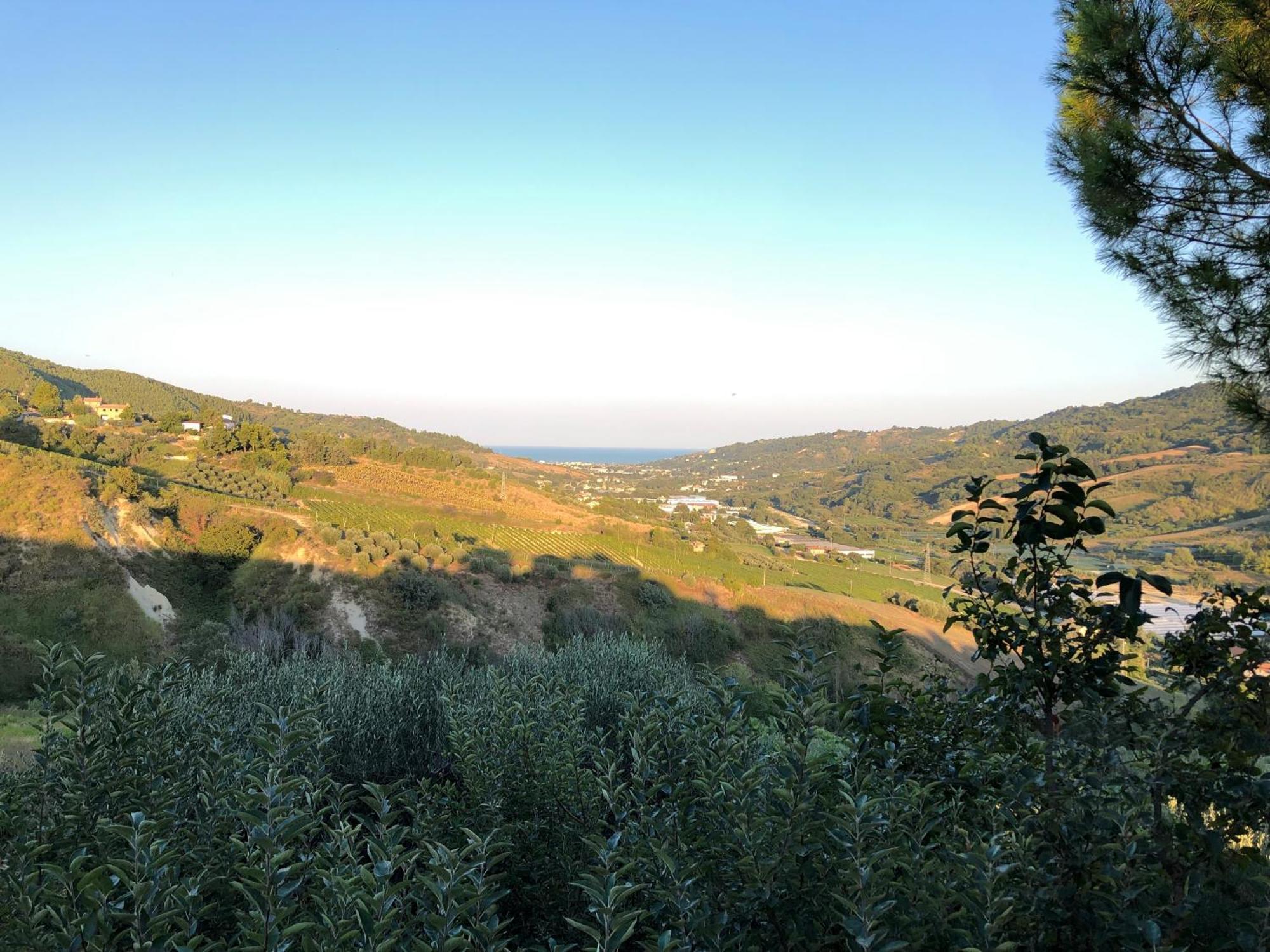 Appartement Casa Vacanze Cristina - Holiday House à Ripatransone Extérieur photo